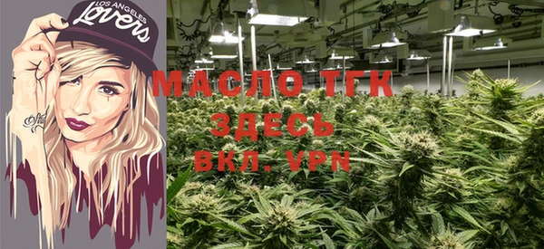 стаф Пересвет