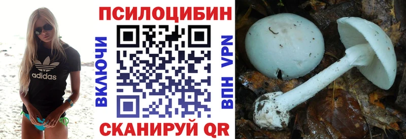 Галлюциногенные грибы прущие грибы  Купить где  Солигалич 